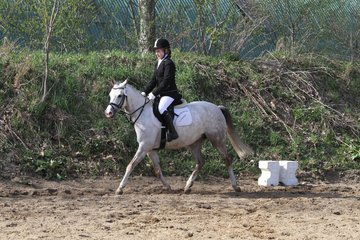 Bild 1193 - WBO-Turnier am 9.4.11